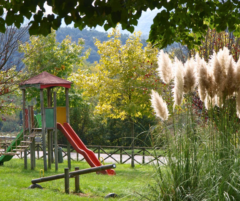 Area picnic: parco giochi con scivoli, altalena e natura rigogliosa per famiglie.