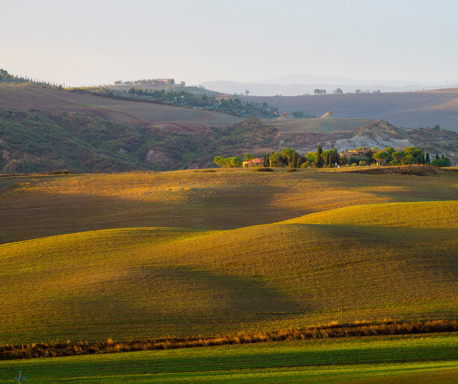 Paesaggio toscano: campi dorati, borgo antico. Il Borgo, 1 di 3.