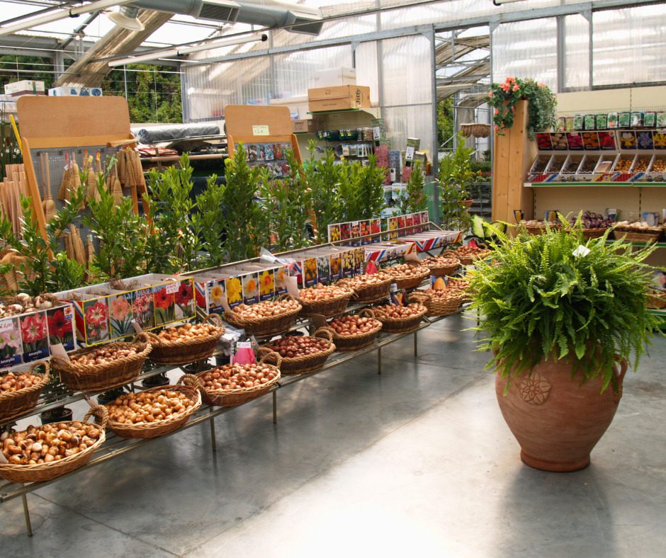 Serra piena di bulbi fioriti in cesti. Acquista bulbi per il tuo giardino!