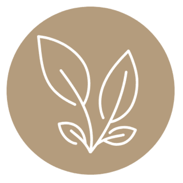 Icona territorio: foglie stilizzate su sfondo beige. Natura e ambiente.